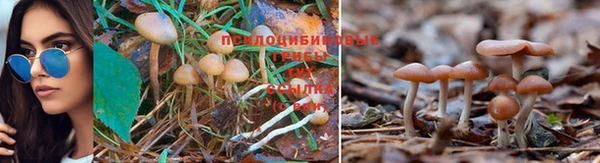 гашишное масло Арсеньев