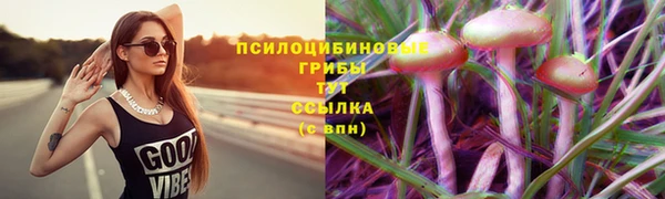 прущие крисы Армянск
