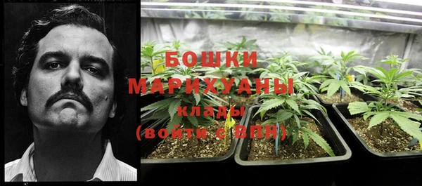 прущие крисы Армянск