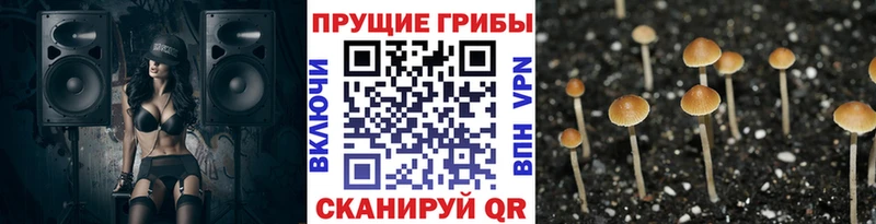 Псилоцибиновые грибы ЛСД МЕГА ссылка Армянск