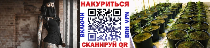 Бошки марихуана OG Kush Армянск
